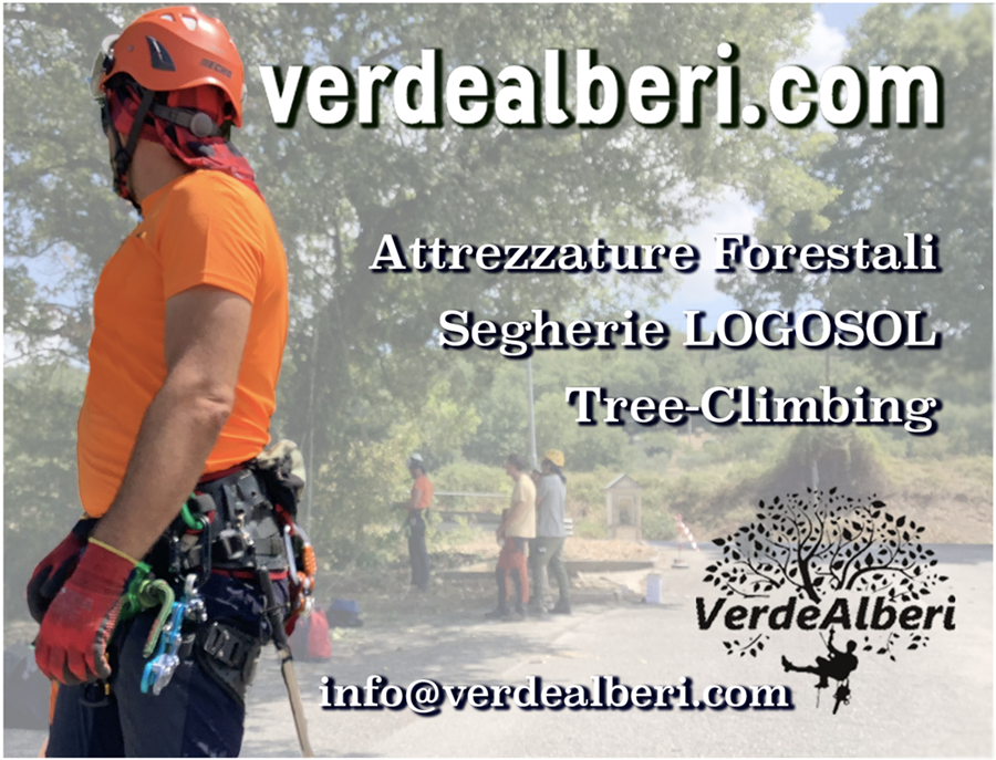 Verdealberi: prodotti professionali per il Tree-climbing